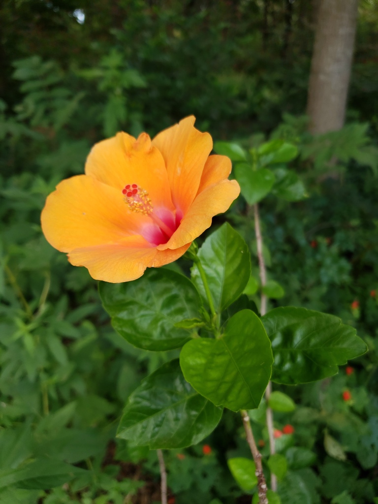 How does my inner child feel about the&nbsp;blog?